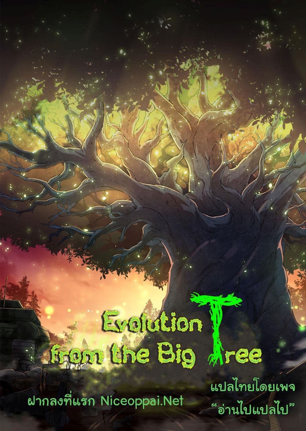 Evolution from the Big Tree Ã Â¸â€¢Ã Â¸Â­Ã Â¸â„¢Ã Â¸â€”Ã Â¸ÂµÃ Â¹Ë† 12 (1)
